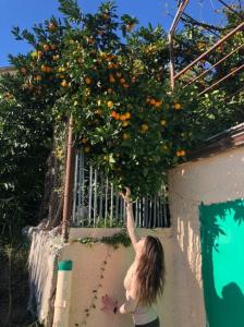 Фотография Европа Тур 5