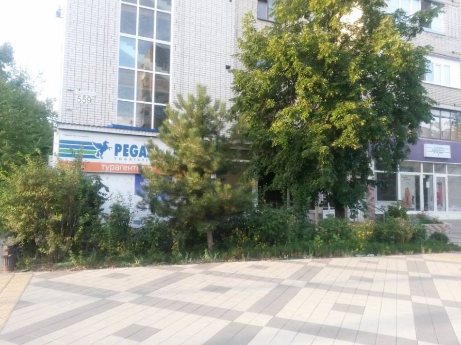 слайд
