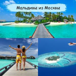 Фотография Соллинс-Тур 2