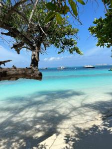 Фотография Coral travel 4