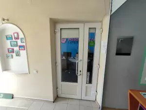 Фотография Розовый слон 3