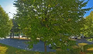 Фотография Кубанской Митрополии 1