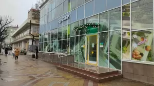 Фотография Розовый слон 5