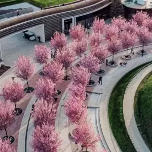Фотография Турист 3
