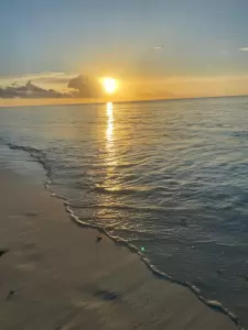 Фотография Coral travel 5